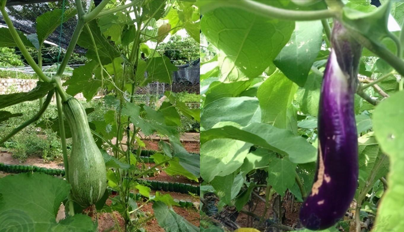 南海西沙金银岛，1974年我国从越南手里收回，如今建设得怎么样？