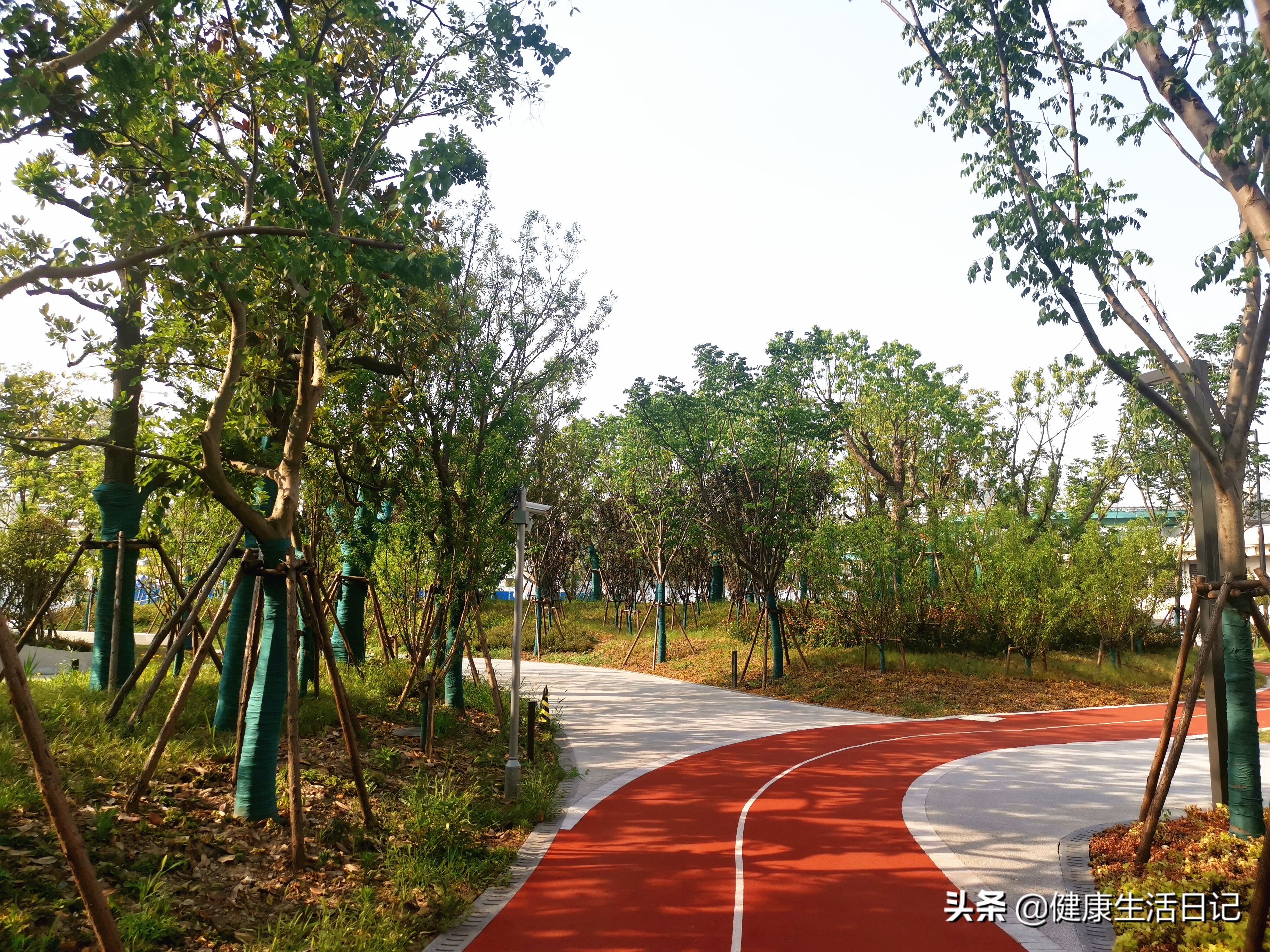 上海运动公园,上海晨练公园