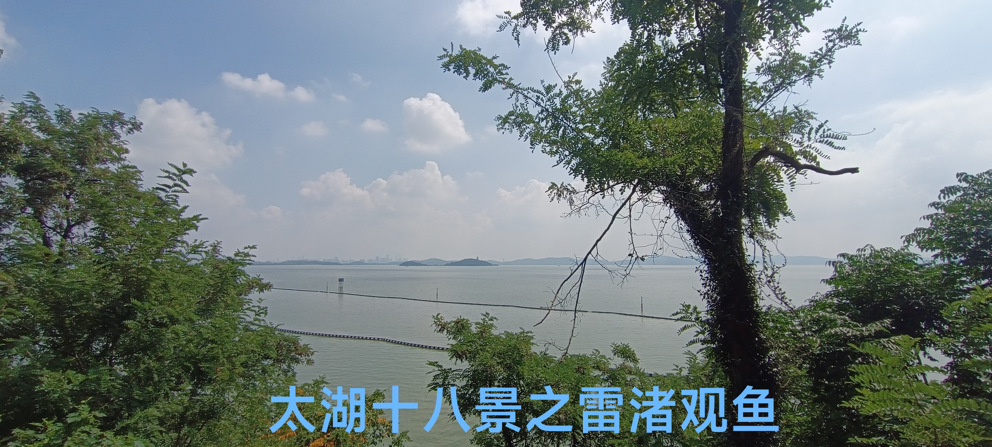 千里走铁骑价格,千里走单骑