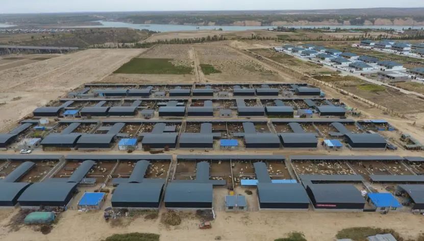 扶贫巩固提升暨乡村振兴总结,区乡村振兴工作汇报