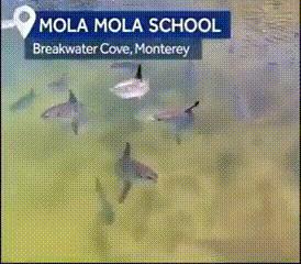 海底奇观欣赏,海底世界奇妙之旅图片