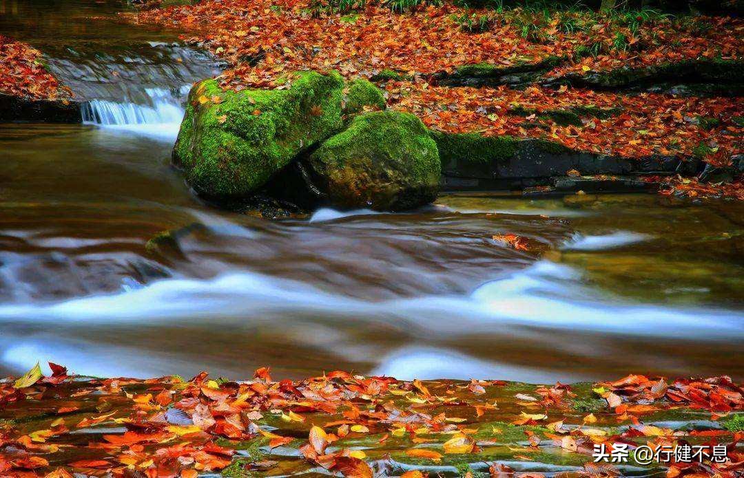 王维笔下的秋天,是一首恬静优美的诗,更是一幅赏心悦目的画