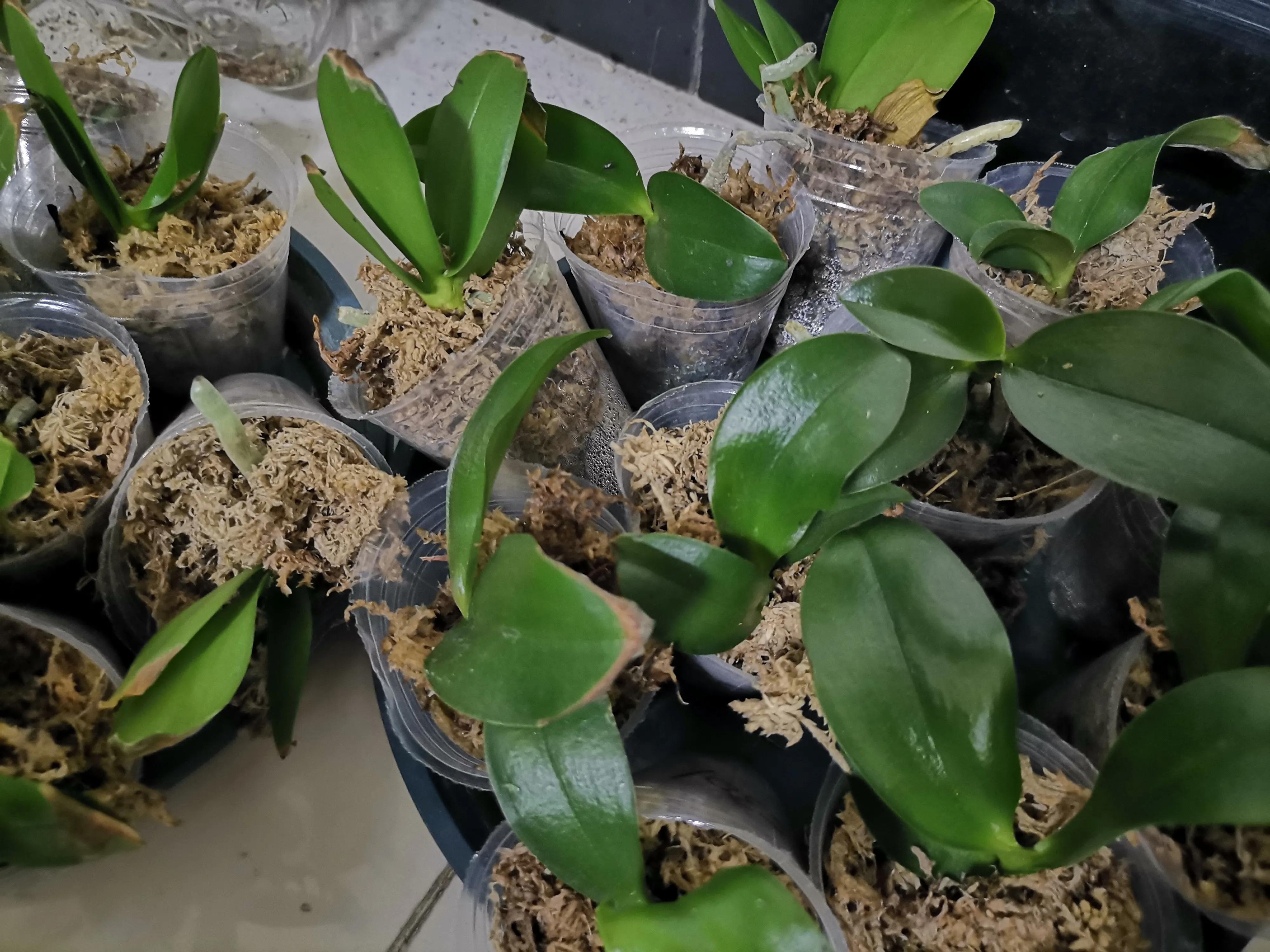 新年送孩子什么礼物最好呢,给孩子的新年礼物送什么有意义