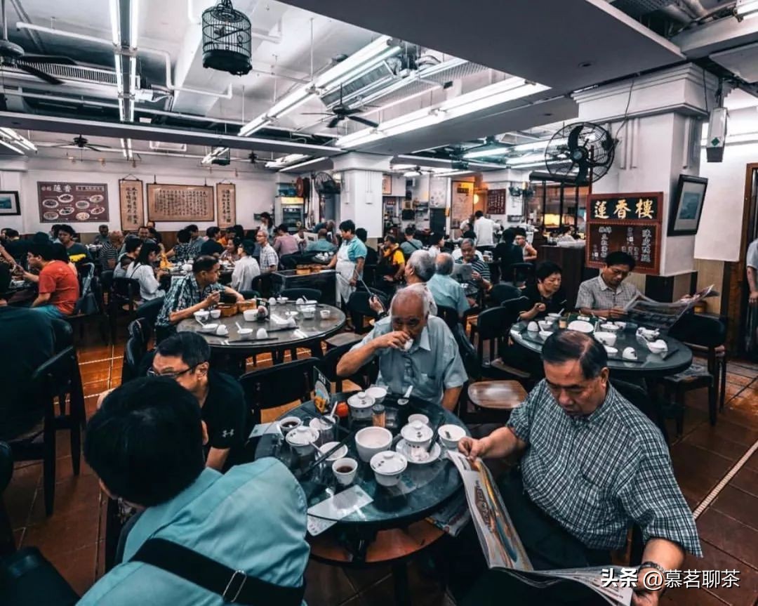 普洱茶越陈越好的骗局,普洱茶越陈越香的意思