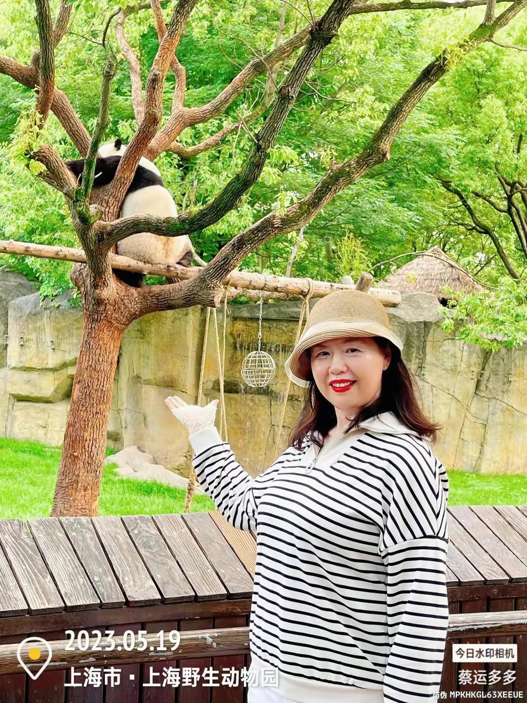 上海野生动物园和上海动物园,上海野生动物园过年营业时间