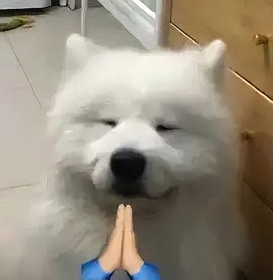 孩子破解密码的N种方式