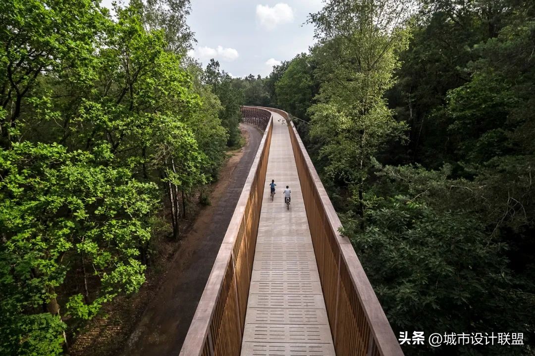 城市景观道路设计,城市景观道路结构