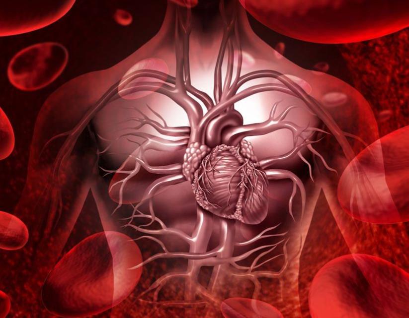 走进中医探索中医心法,走近科学中医经络的发现