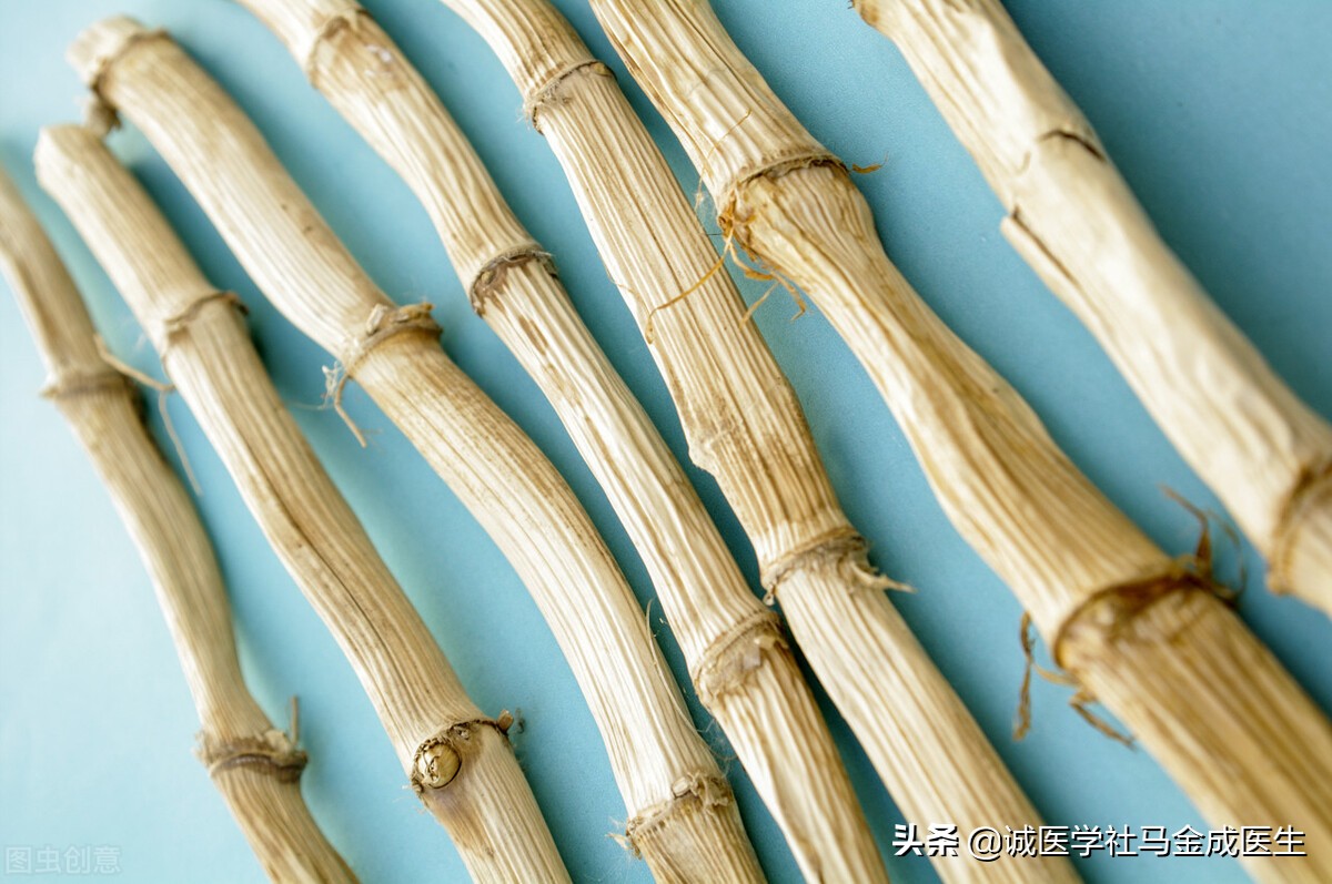 栀子泻三焦,一味栀子清热泻火