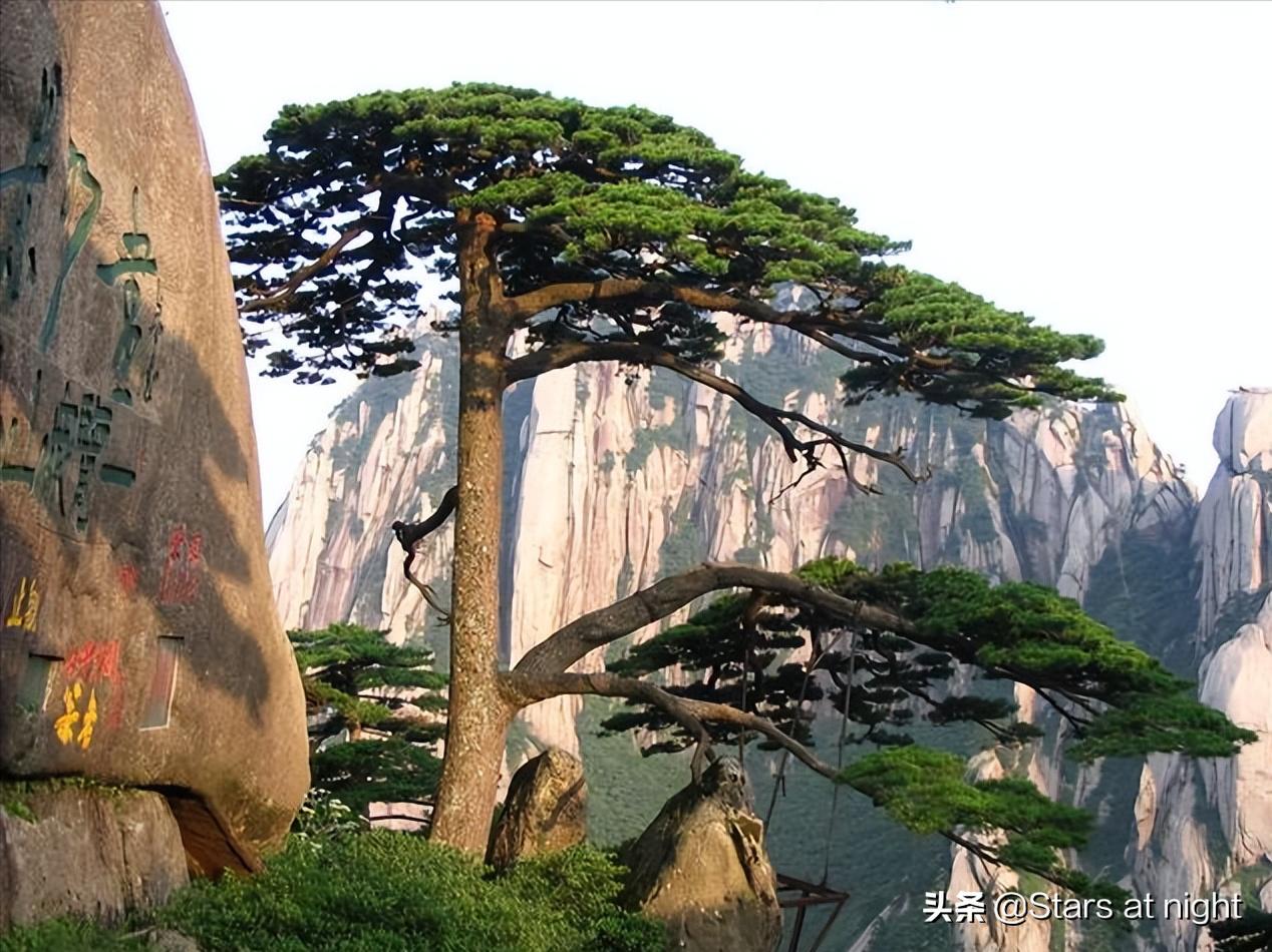 中国2019省市行政区划数据,全国地级市行政区划代码一览表