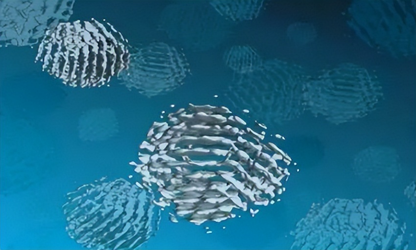 微电子和电子有什么区别,微电子跟什么有关系