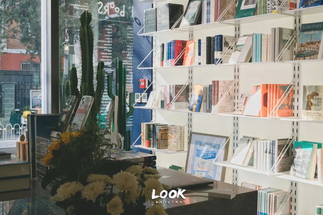 北京宠物友好咖啡店,北京宠物友好店