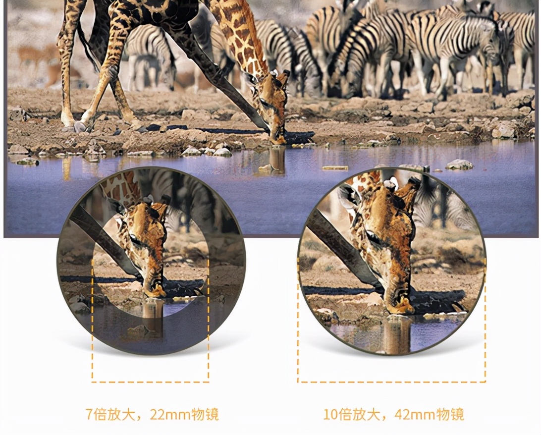 有比10x42效果好的望远镜吗 (10x42望远镜适合看什么)
