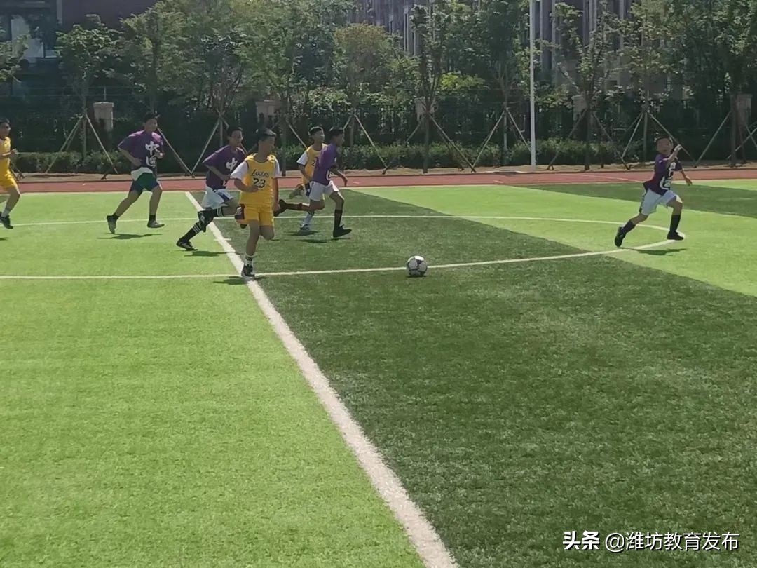 最新新闻周播报,新闻周播报完整版