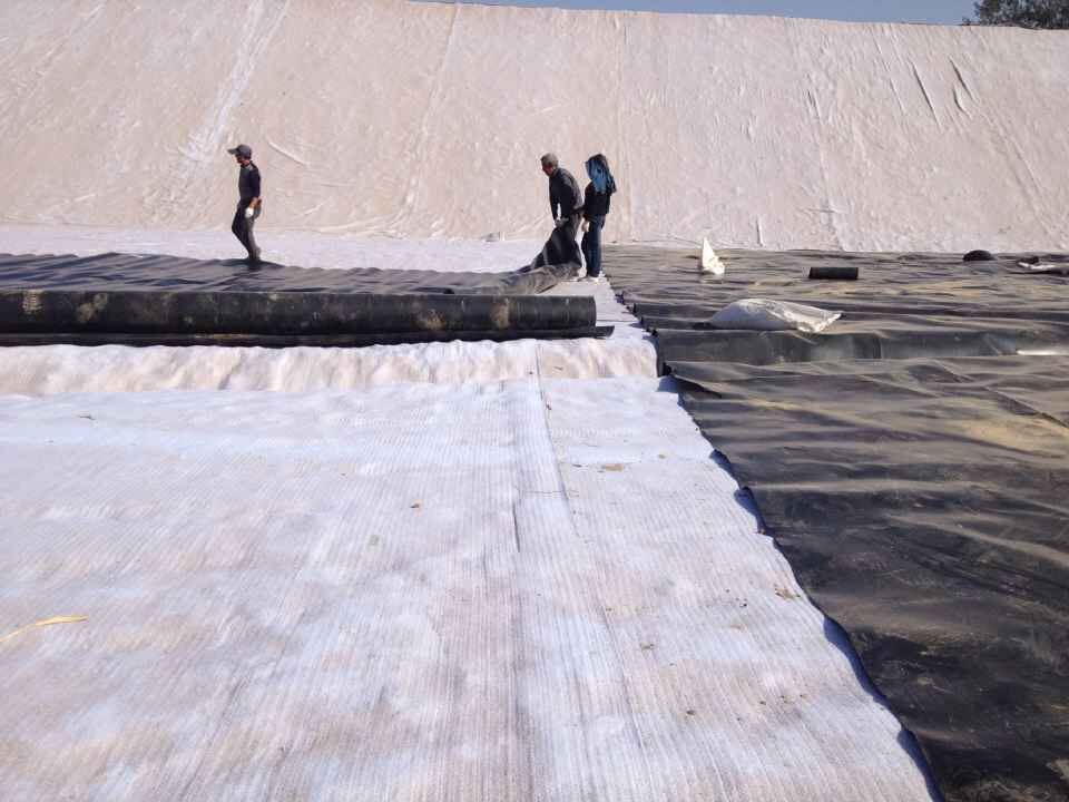 400g复合防渗土工膜,天津复合防渗土工膜规格