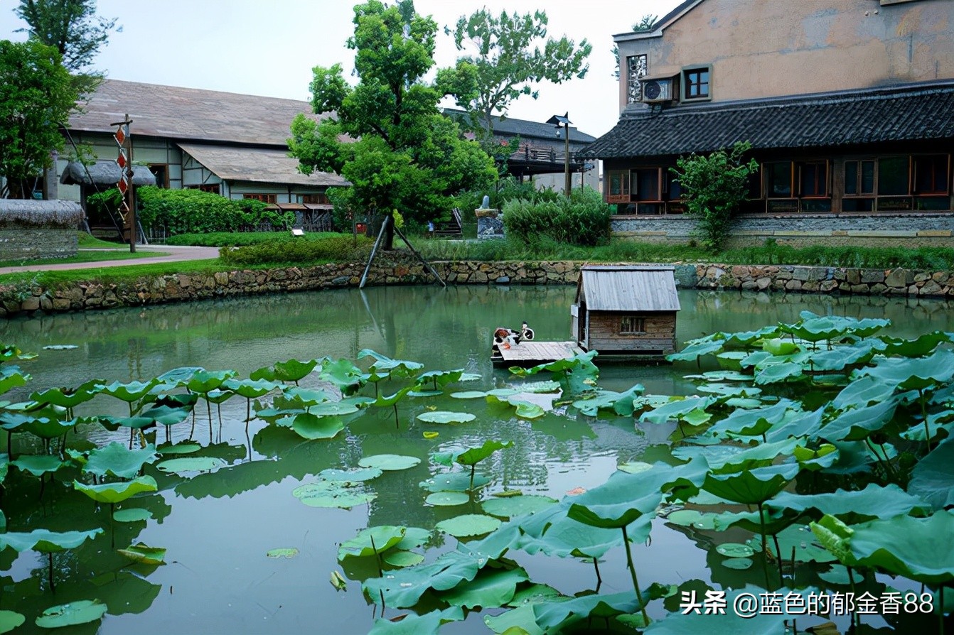 无名河我心中的伊甸园,画出我心中的伊甸园