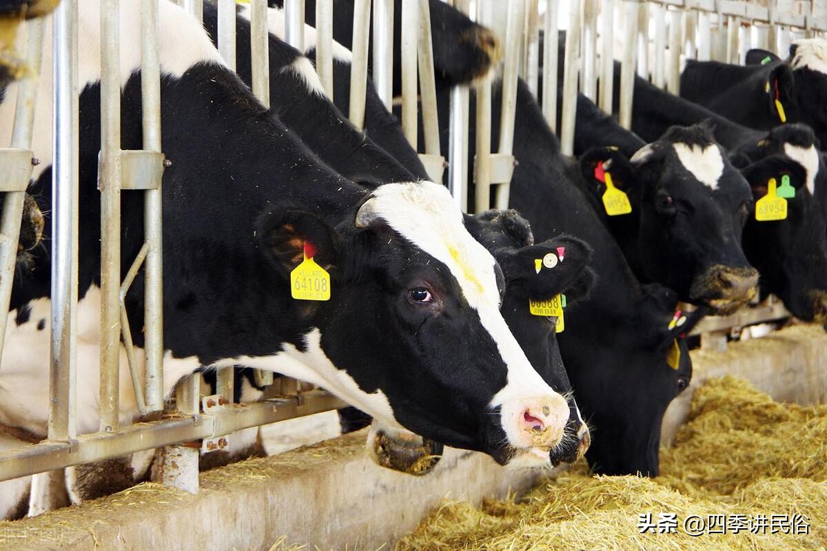 适合在农村的独门生意,农村季节性最火爆的生意