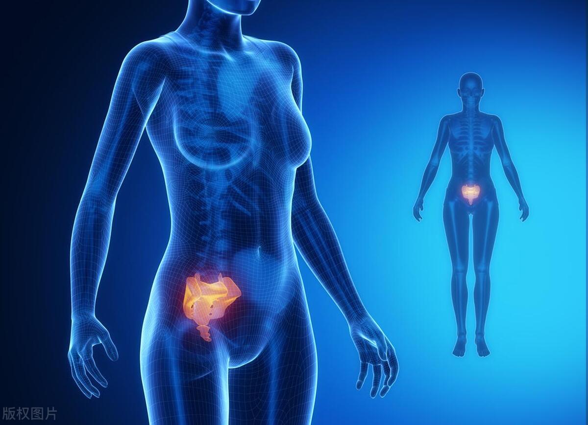 女性下面变松不是小事，这些危害会找上门！2个动作，告别尴尬