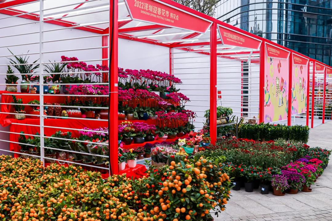 乐购深圳福田,乐购深圳在哪抢购东西