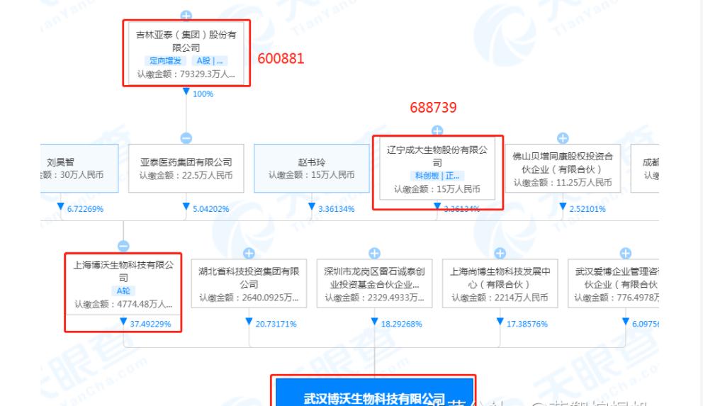 欧洲爆发史上最大疫情，世卫召开紧急会议，A股相关概念股