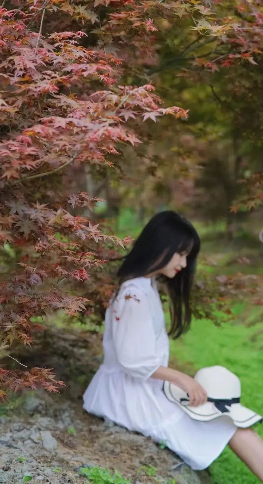 提前盛开！成都市区这个被偏爱的宝藏地又上新，即将刷爆全网