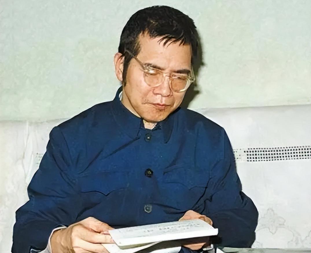 陈景润去世后由昆再婚没有,数学家陈景润怎么去世的