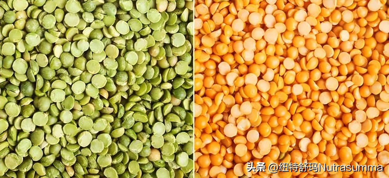 植物基蛋白,植物基蛋白的前景