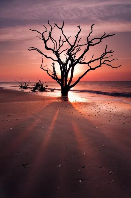 住院散文500字,住院文