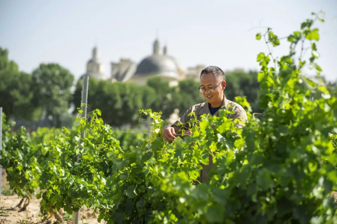 正和岛知名企业家投资交流,正和岛投资总裁