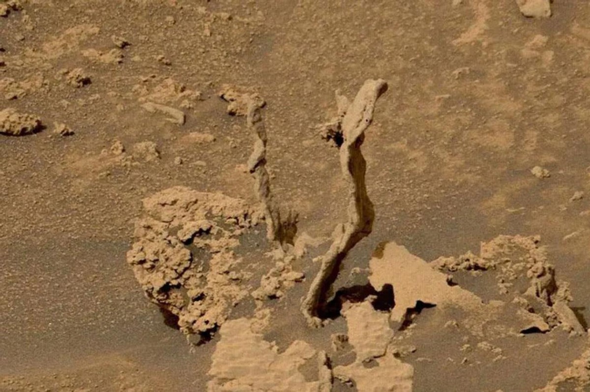 火星上有蛇好奇号传回诡异照片,好奇号火星不明飞行物