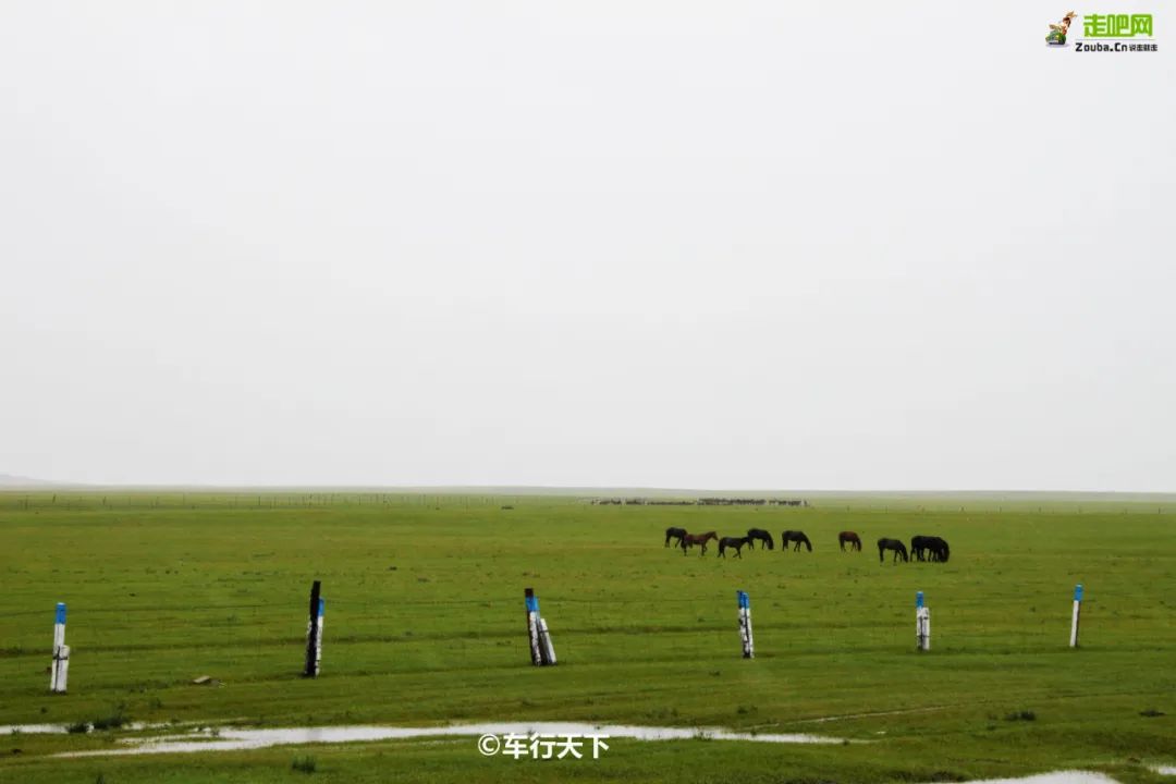离北京最近的草原避暑胜地,华北夏季避暑好去处