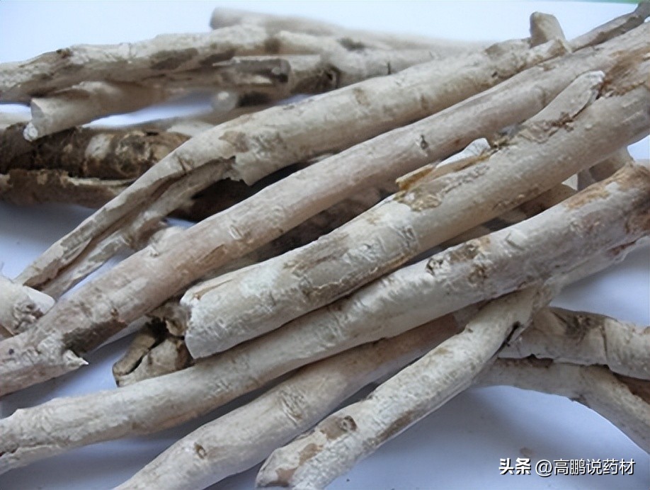 高鹏说药材：市场关注品种牡丹皮、川牛膝、天南星等行情走势简析