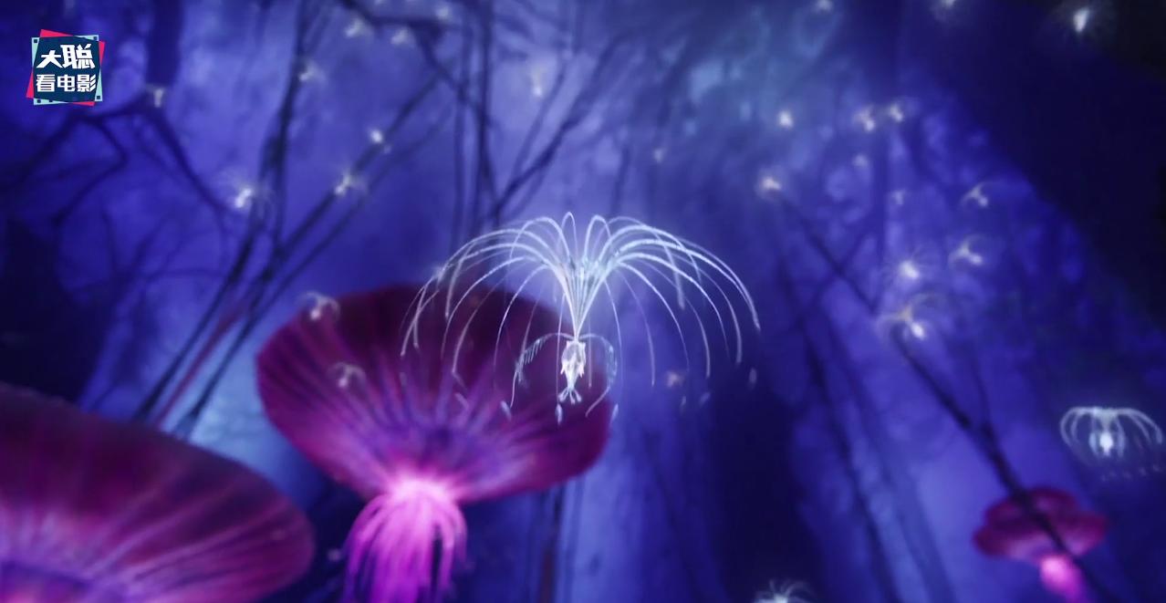 阿凡达解密,阿凡达2详细攻略大全