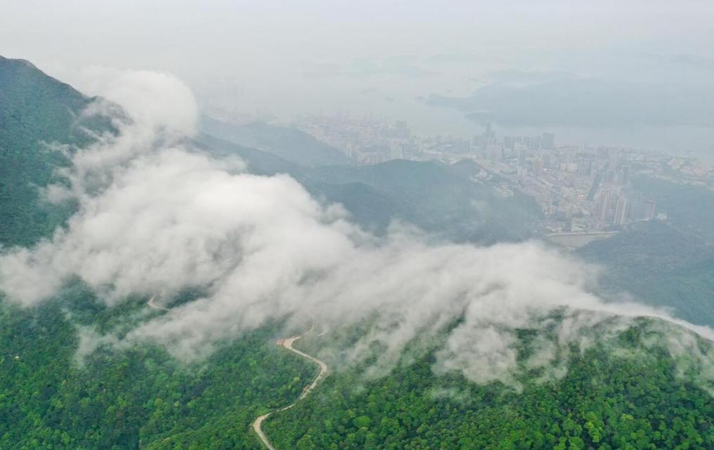 两日游自驾推荐景点广东,广东最值得去的旅游景点