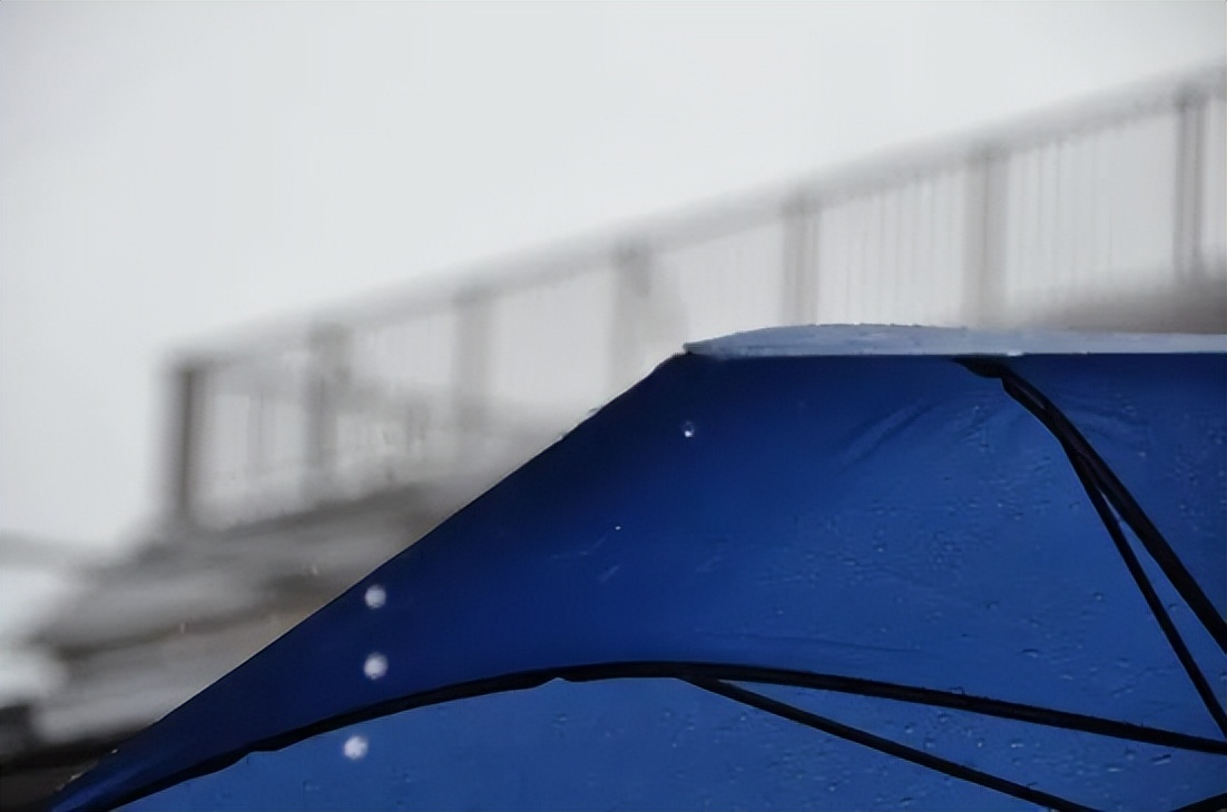 wpc防晒遮阳伞,高颜值遮阳伞推荐测评