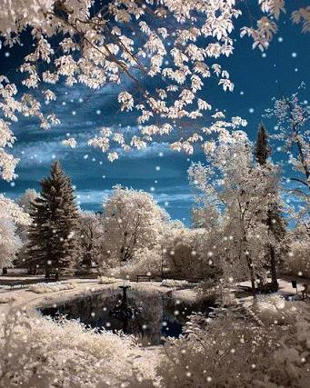 献爱心战胜病魔,为了爱战胜病魔