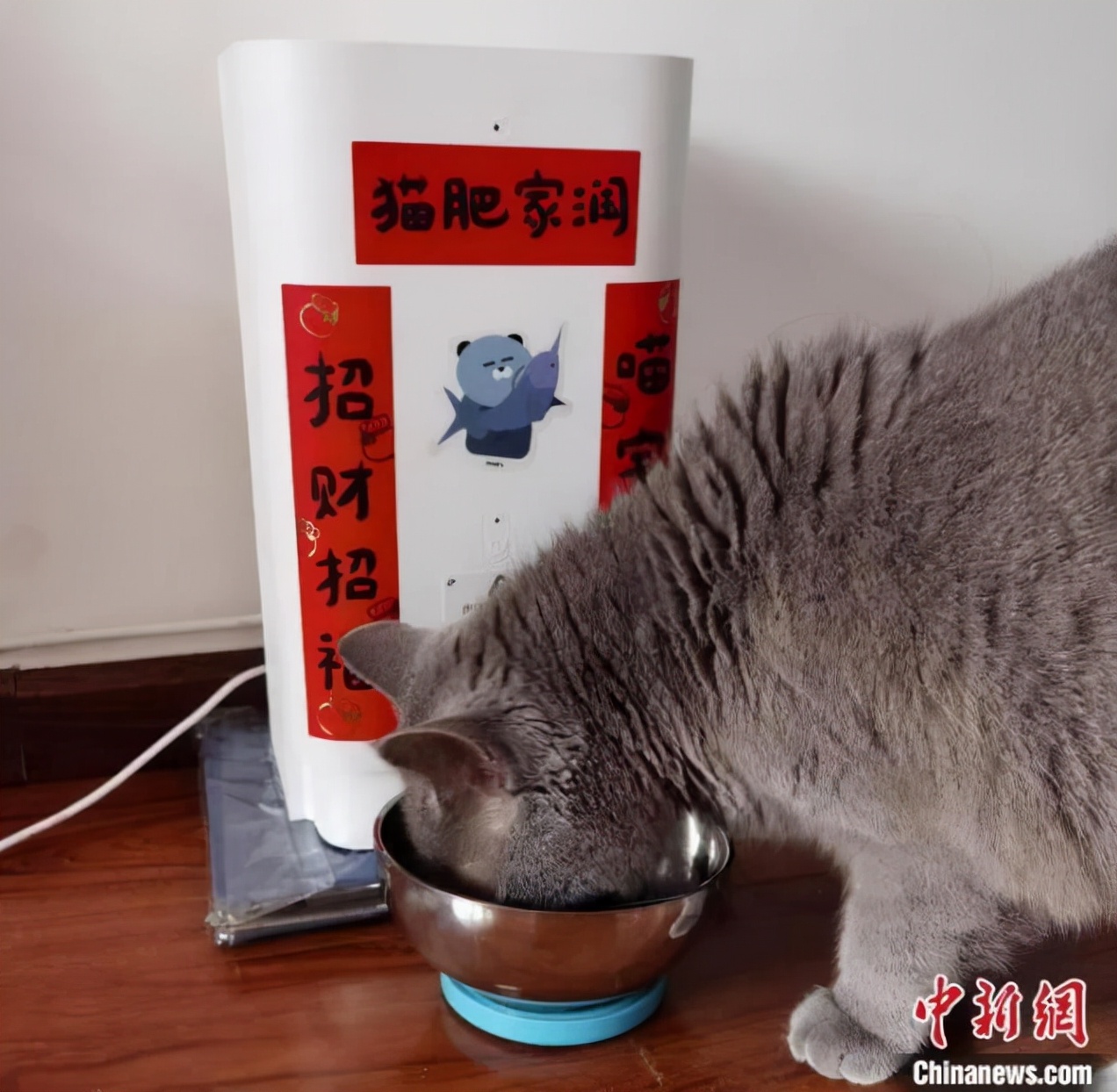 猫粮品尝师职业,手机入殓师属于传统行业吗