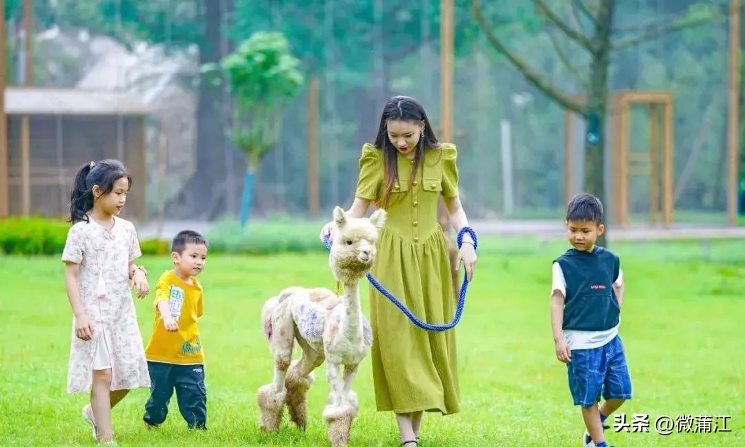 迎新春兔年促消费,迎新春促消费浓浓年味享不停