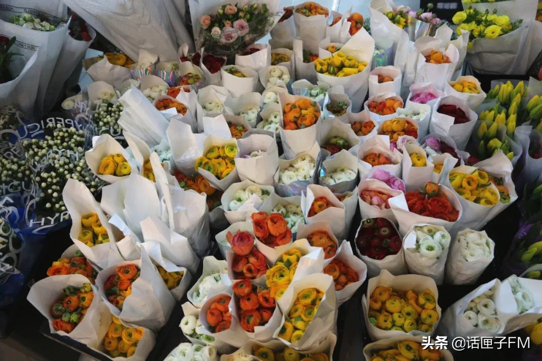 多地99朵玫瑰花束突破千元，沪上花商进货靠“抢”……还买吗？