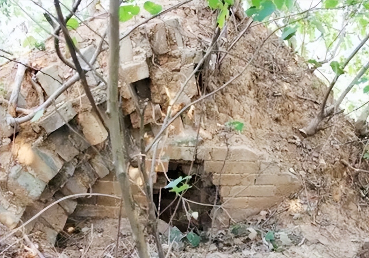 朱元璋有多宠爱李善长的孙女,朱元璋最小的女儿朱棣当孙女养