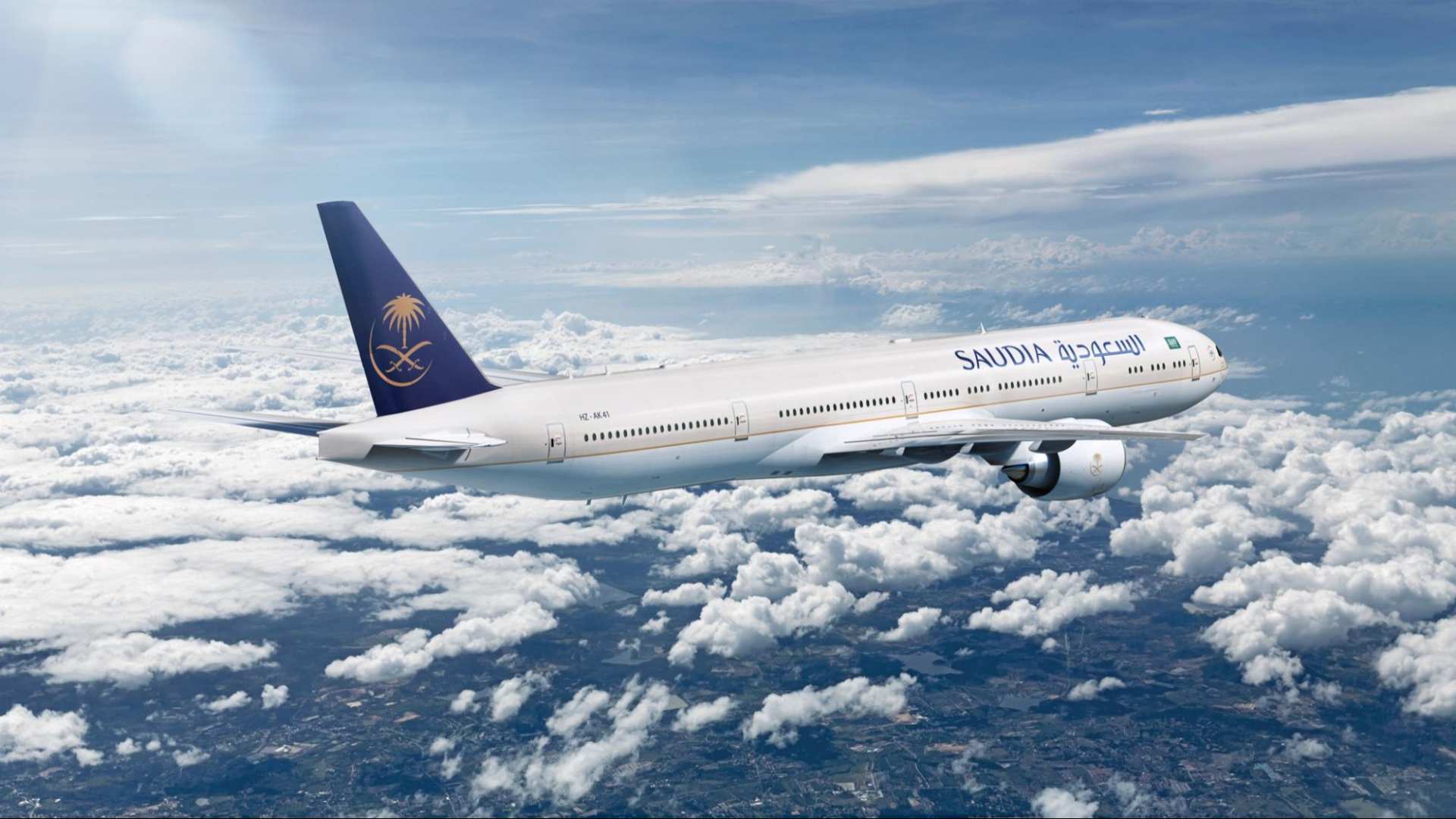 湾区羙好生活周报|星语祝福,十二月新愿季