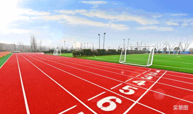 wow游乐园,wow有什么好玩的地方