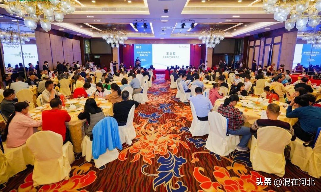 2024肃宁电商博览会,肃宁电商博览会现场