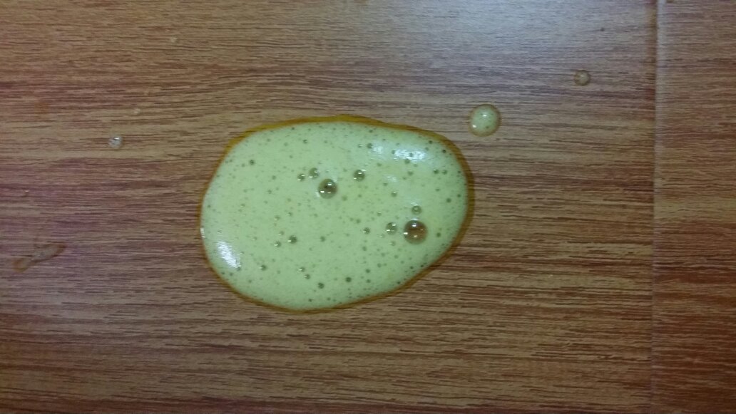 狗狗呕吐不要慌，这7种呕吐颜色要知道，避免错过救治时期