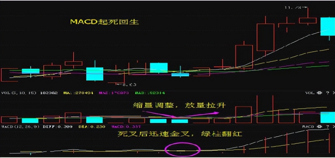 股市如何从100万赚到1000万,股市中赚100万最笨的方法
