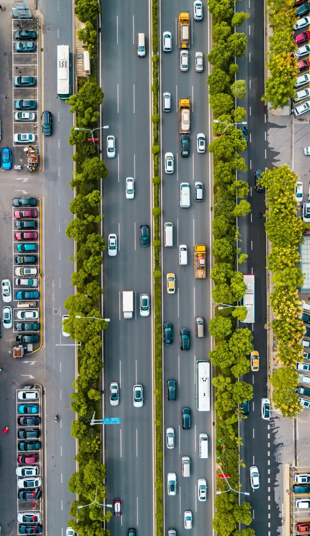 榫欓槼鐪嬮緳钁电殑鐪肩,榫欓槼婀栫湅鏃ュ嚭