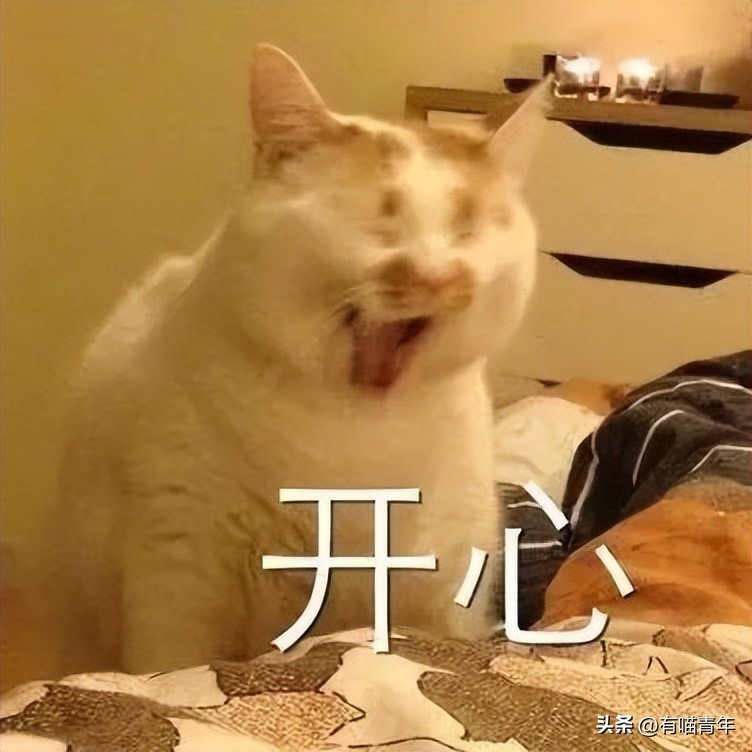 未来猫能活到30岁？？铲屎官听说后狂喜，怒捐3亿！！