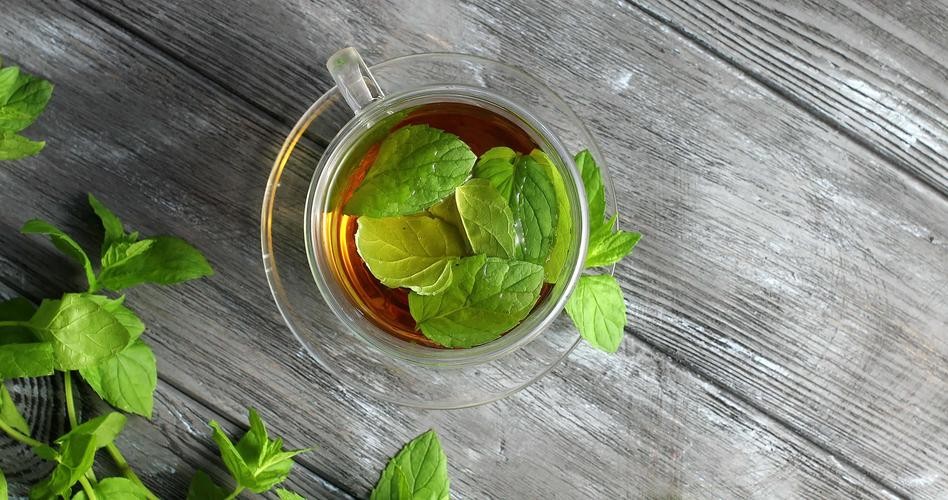 天热没胃口，推荐5种凉茶做法，简单解暑又开胃，天天轮换着喝