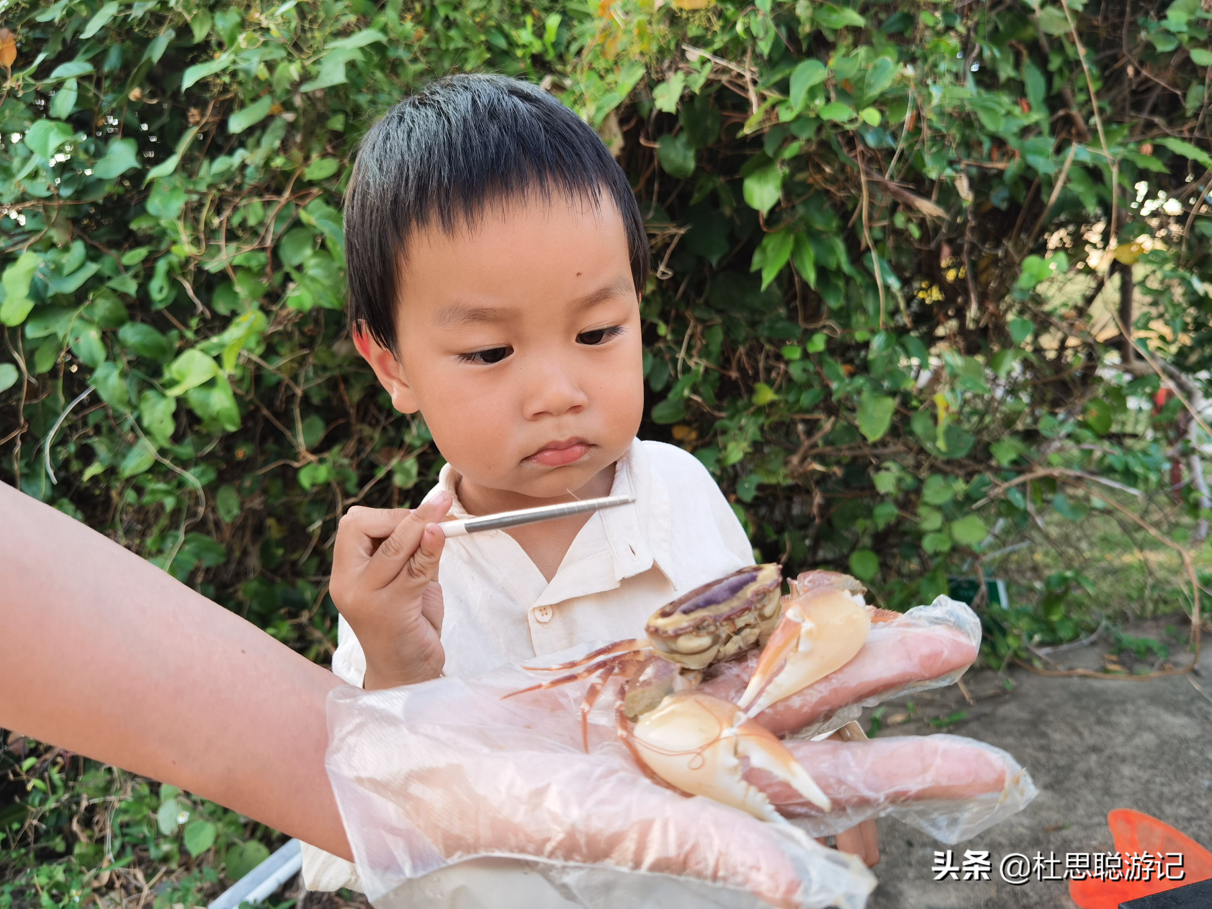 汉ev自驾川西环线,电车自驾三亚汉ev