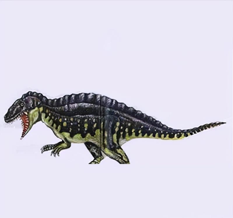 恐龙立体书科普恐龙,恐龙科普全集